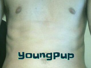 YoungPup