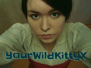 YourWildKittyX