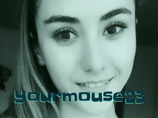 Yourmouse23