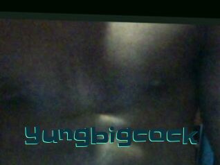 Yungbigcock