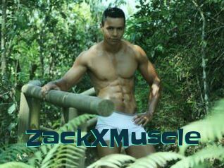 ZackXMuscle