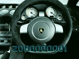 Z000000001