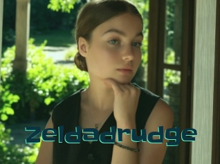 Zeldadrudge